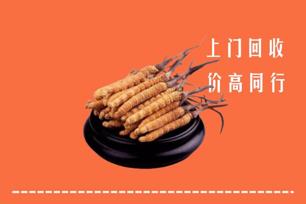 高价求购：拱墅区回收散虫草