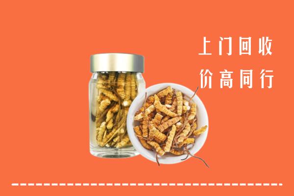 收购行情：拱墅区回收冬虫夏草